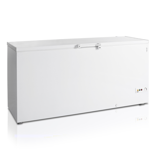 Морозильна скриня TEFCOLD FR605