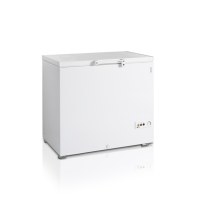 Морозильна скриня TEFCOLD FR305-I 