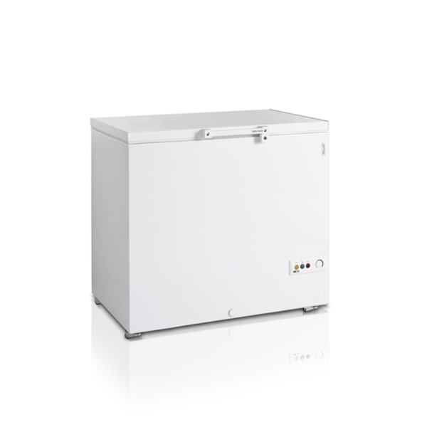 Морозильна скриня TEFCOLD FR305-I 