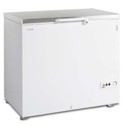 Морозильна скриня TEFCOLD FR305S